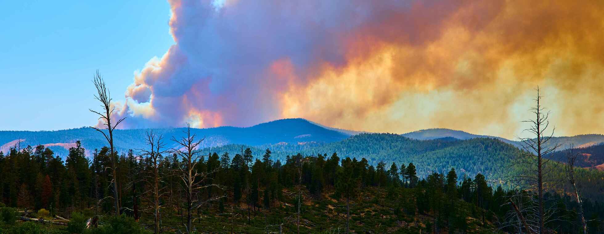 Exploring Summertime Air Pollution